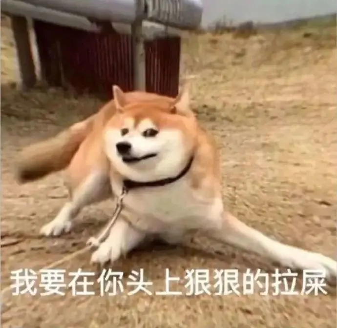 吃一口下水道美食,我骨灰带盒一共5斤!