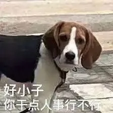 吃一口下水道美食,我骨灰带盒一共5斤!